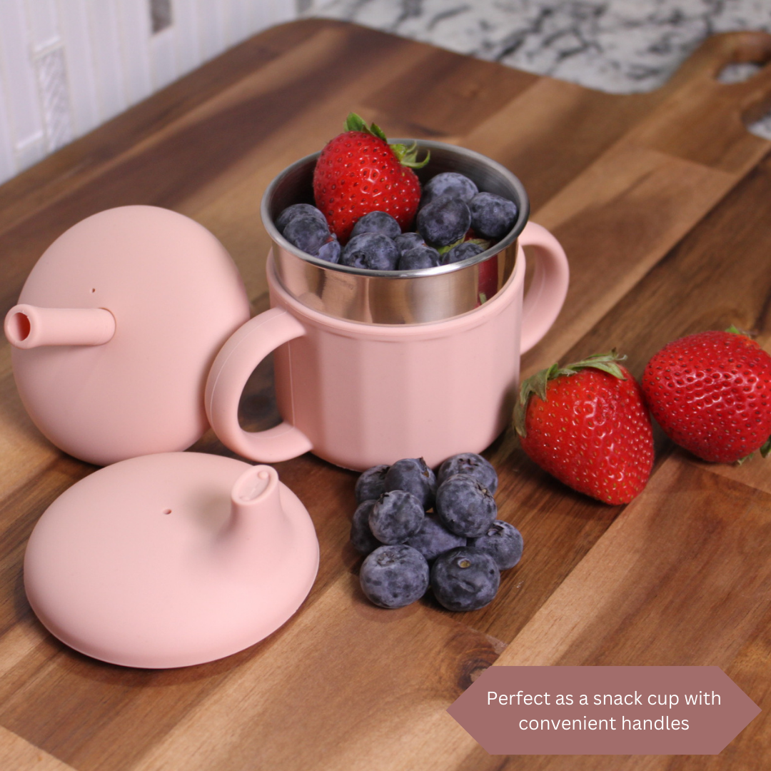 Stainless Steel Sippy Cup 3 in 1