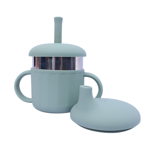 Stainless Steel Sippy Cup 3 in 1